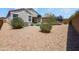 Spacious backyard with low maintenance gravel, equipped with basketball hoop and trampoline at 1237 E Paul Dr, Casa Grande, AZ 85122