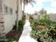 Manicured side yard with lush greenery and a concrete walkway at 15507 W Marconi Ave, Surprise, AZ 85374