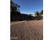 The spacious backyard is designed with beautiful rock landscaping and desert vegetation at 15742 W Central St, Surprise, AZ 85374