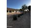 A spacious backyard with desert landscaping is ready for your outdoor ideas at 15742 W Central St, Surprise, AZ 85374