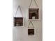 Stylish square shelves with plants on a white wall add character and warmth to this home at 15742 W Central St, Surprise, AZ 85374