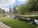 Peaceful pond reflecting the sky and surrounding trees, with a manicured lawn and walking path at 2031 W Periwinkle Way, Chandler, AZ 85248