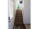 Carpeted staircase with a decorative plant, offering a welcoming entrance to the upper level at 2927 N Oregon St # 7, Chandler, AZ 85225