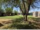 Large backyard with lawn and mature trees offering shade on a sunny day at 3112 W Taylor St, Phoenix, AZ 85009