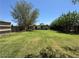 Spacious backyard featuring a large lawn and mature trees, creating a serene outdoor space at 3112 W Taylor St, Phoenix, AZ 85009