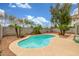 Backyard pool with palm trees and lush landscaping, offering a private retreat at 3724 E Derringer Way, Gilbert, AZ 85297