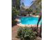 Backyard pool surrounded by lush landscaping and palm trees, offering a private oasis for relaxation at 3724 E Derringer Way, Gilbert, AZ 85297