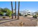 Charming home with desert landscaping and palm trees, offering a serene and picturesque curb appeal at 39 E Tam Oshanter Dr, Phoenix, AZ 85022