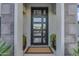 A modern style front door with glass inserts, flanked by large potted plants at 7130 E Navarro Way, Scottsdale, AZ 85266