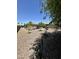 Large backyard with rock landscaping, young shade trees, and a covered patio seating area at 7551 W Darrel Rd, Laveen, AZ 85339
