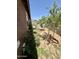A cozy backyard featuring a garden with rose bushes, trees and lush green grass at 7551 W Darrel Rd, Laveen, AZ 85339