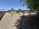 Large gravel backyard featuring mature citrus trees, pergola seating area, and a garden box at 7551 W Darrel Rd, Laveen, AZ 85339