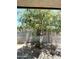 Tree in the backyard with bird cage and succulent underneath at 7551 W Darrel Rd, Laveen, AZ 85339