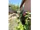 A cozy backyard featuring a garden with rose bushes, trees and lush green grass at 7551 W Darrel Rd, Laveen, AZ 85339
