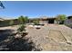Large gravel backyard featuring mature citrus trees, pergola seating area, and a garden box at 7551 W Darrel Rd, Laveen, AZ 85339
