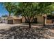 Inviting single-story home with a mature shade tree and low maintenance desert landscaping at 1019 W Mohawk Ln, Phoenix, AZ 85027