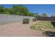 Backyard features grass area, desert landscaping, and block wall at 11625 N 153Rd Dr, Surprise, AZ 85379