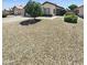 Charming single-story home with low-maintenance landscaping and a well-manicured front yard at 14065 W Cornerstone Trl, Surprise, AZ 85374