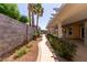 A winding walkway with lush landscape edges the covered patio at 1625 E Daisy St, Casa Grande, AZ 85122