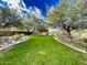 Manicured backyard with lush green lawn, mature trees, and attractive landscaping at 18507 N 94Th St, Scottsdale, AZ 85255