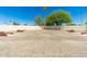 Picture of a gravel community lot surrounded by palm trees at 1916 W Morningside Dr # 111, Phoenix, AZ 85023