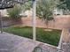 Backyard view with artificial turf, pavers, and a privacy wall at 19814 N 49Th Dr, Glendale, AZ 85308