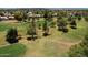 Picturesque golf course view surrounded by lush trees and well-maintained greens in a residential neighborhood at 2041 W Hemlock Way, Chandler, AZ 85248