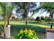This backyard has a beautiful view of a golf course with lush green grass and landscaping at 2041 W Hemlock Way, Chandler, AZ 85248