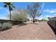 Spacious backyard featuring desert landscaping, mature trees, and a block fence for added privacy at 20802 N 7Th Pl, Phoenix, AZ 85024