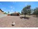 Expansive backyard featuring desert landscaping, mature trees, and a covered patio, perfect for outdoor living at 20802 N 7Th Pl, Phoenix, AZ 85024