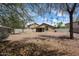 Lush backyard with desert landscaping, mature trees, and a covered patio, ideal for relaxing and entertaining at 20802 N 7Th Pl, Phoenix, AZ 85024