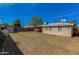 Huge grassy backyard has trees, wood fence, and a covered patio for entertaining and relaxing at 2213 E Campbell Ave, Phoenix, AZ 85016
