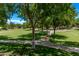 Lush green community park featuring walking paths and mature trees at 3272 E Orchid Ln, Gilbert, AZ 85296