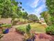 Private backyard featuring a well-kept lawn, mature landscaping, and a stone accent wall in a serene setting at 3809 E Lynx Pl, Chandler, AZ 85249