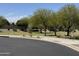 Landscaped community park area featuring mature trees, green lawns, and walking paths for residents to enjoy at 3809 E Lynx Pl, Chandler, AZ 85249