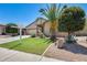 Beautiful front yard with lush grass, desert landscaping, and palm tree at 38125 W Santa Clara Ave, Maricopa, AZ 85138