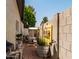 Side yard with water feature, potted plants, and whimsical mushroom decor at 5919 S Newberry Rd, Tempe, AZ 85283