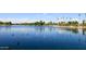 Scenic lakeside view showcasing tranquil waters and verdant trees along the shoreline at 5998 N 78Th St # 222, Scottsdale, AZ 85250