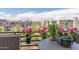 Balcony view with flowers, greenery, and a skyline of buildings and mountains at 15802 N 71St St # 657, Scottsdale, AZ 85254