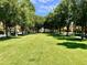 Expansive green lawn bordered by mature trees, creating a serene and inviting atmosphere at 20171 W Cheery Lynn Rd, Buckeye, AZ 85396