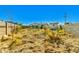A backyard with a mix of grass and plants with a view of the home and surrounding fence at 214 W June Cir, Mesa, AZ 85201