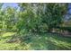 Lush backyard with mature trees providing ample shade and a tranquil setting at 220 E 14Th St, Tempe, AZ 85281