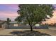 Charming single-story home with a mature, flowering tree in the front yard, providing ample shade and curb appeal at 2395 S Arizona Rd, Apache Junction, AZ 85119