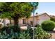 A well-kept front yard showcasing lush plants, cacti, mature trees, and desert landscaping at 3016 N 109Th Ave, Avondale, AZ 85392