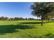 Expansive grassy community park offers ample space for outdoor recreation at 4100 S Dewdrop Ct, Gilbert, AZ 85297