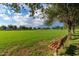 Scenic community park featuring lush green grass, mature trees, and walking paths at 4100 S Dewdrop Ct, Gilbert, AZ 85297