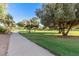 Beautiful park area with walking path, benches, grass and shade trees at 4100 S Dewdrop Ct, Gilbert, AZ 85297