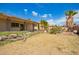 Expansive backyard showcasing its potential, featuring tropical trees, but needing some TLC at 1407 W Utopia Rd, Phoenix, AZ 85027