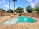 Backyard pool surrounded by lush landscaping, palm trees, and a stone waterfall feature at 1523 E Tulsa St, Chandler, AZ 85225