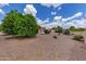 Spacious backyard with desert landscape, plants and trees, perfect for outdoor activities and low maintenance at 16230 E Glenpoint Dr, Fountain Hills, AZ 85268